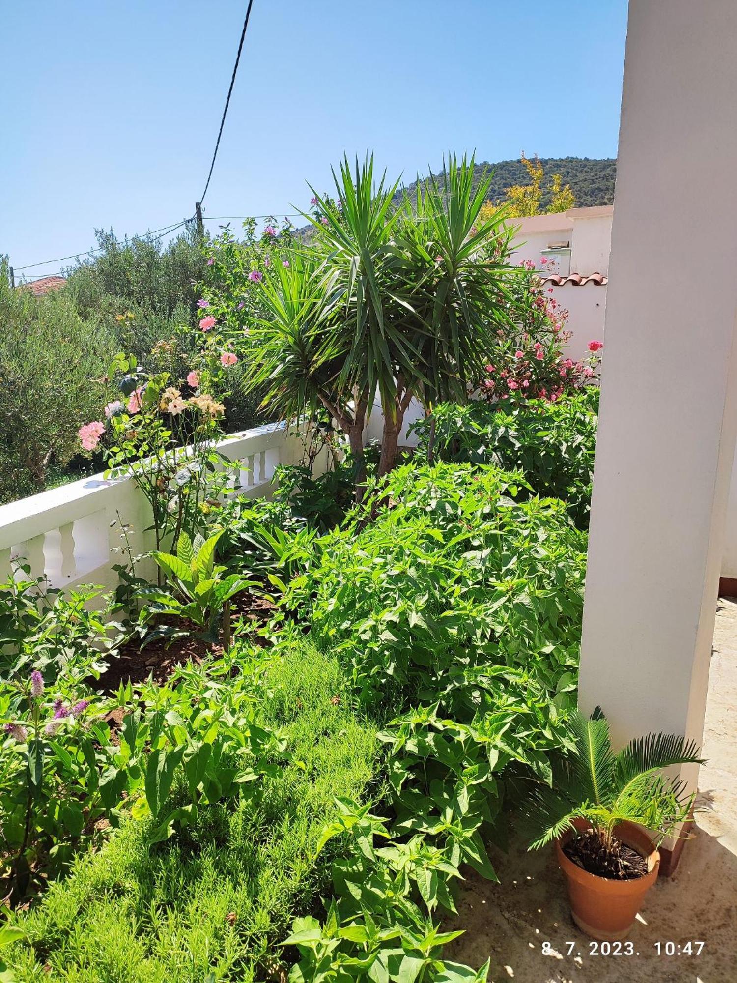 Apartment Slaven Vinišće Exteriér fotografie