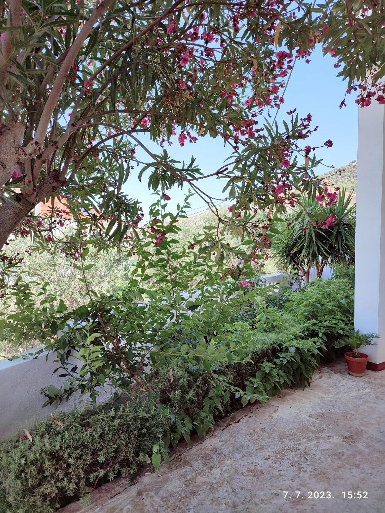 Apartment Slaven Vinišće Exteriér fotografie